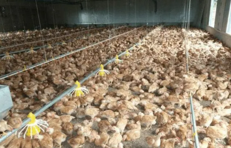 d9db739206560e468a093cb581afcb2 d9db739206560e468a093cb581afcb2