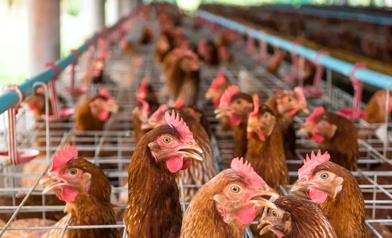 微信圖片_20210515090829