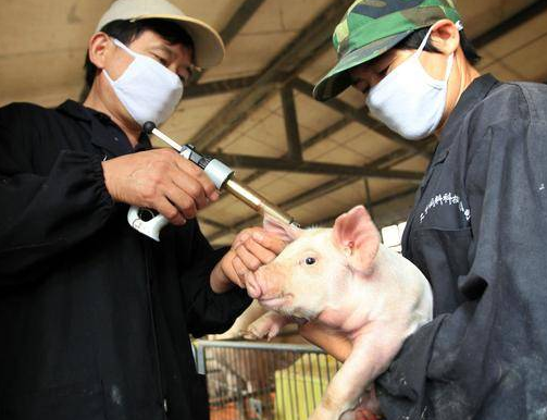 微信截圖_20220331114830 微信截圖_20220331114830