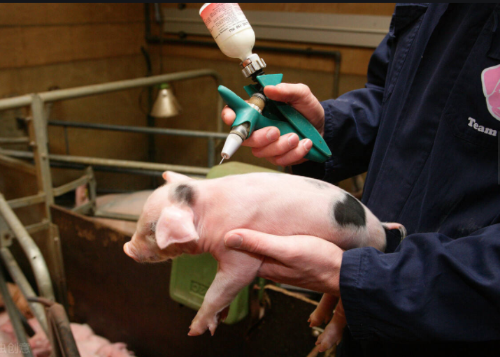 微信截圖_20220331114609 微信截圖_20220331114609