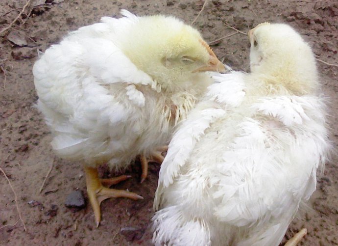 9e71c854c079468fbb3409bc5bcc246d 9e71c854c079468fbb3409bc5bcc246d