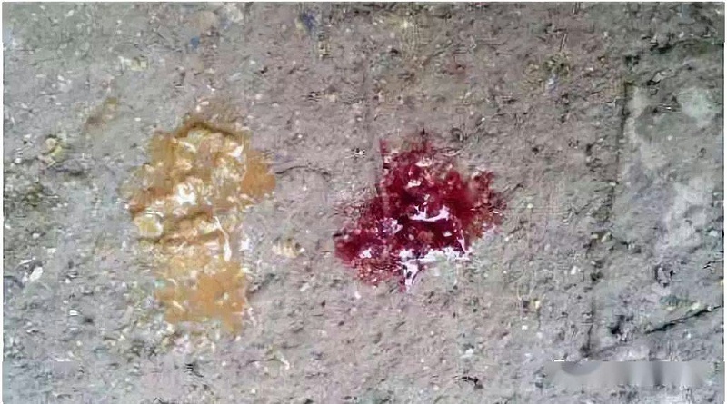 8302b63d24ce4e37b485cae26f49d716 8302b63d24ce4e37b485cae26f49d716