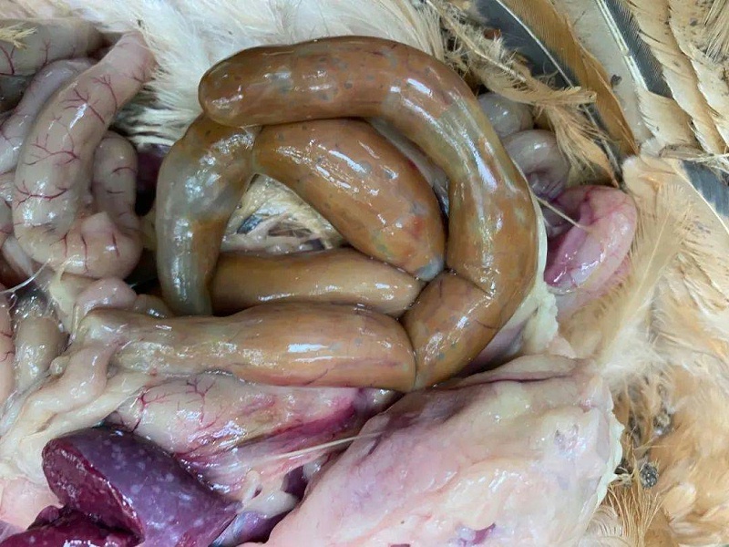 8afb24d17d9e4c319bc2edfff4049394 8afb24d17d9e4c319bc2edfff4049394