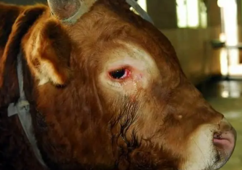 9af7ed98e9c4fae7bac1dd0a8705e27 9af7ed98e9c4fae7bac1dd0a8705e27