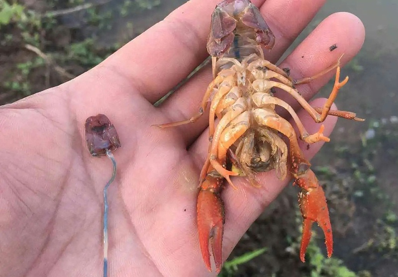 src=http___www.shuichan.cc_upload_article_2017051021204829.jpg&refer=http___www.shuichan.webp src=http___www.shuichan.cc_upload_article_2017051021204829.jpg&refer=http___www.shuichan.webp