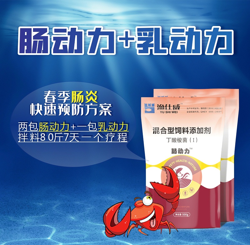 腸動力+乳動力(1)