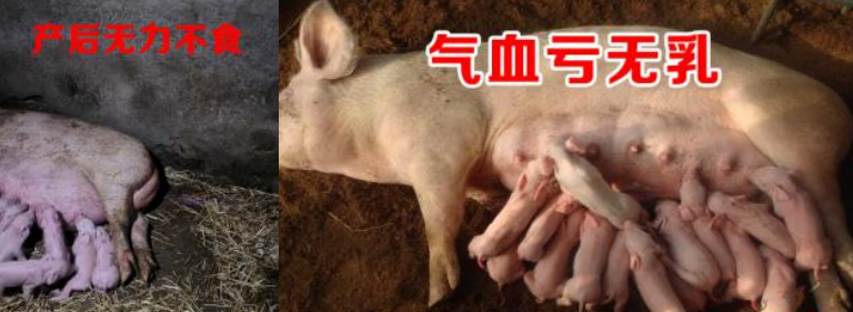 微信圖片_20210416164433