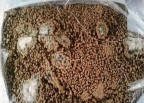 20bfbc59032d7a413affc24a70af0ca 20bfbc59032d7a413affc24a70af0ca