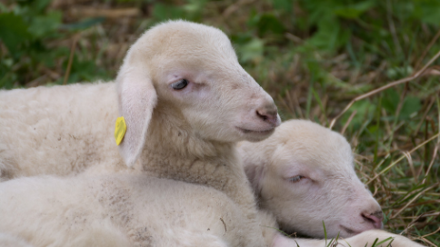 eb8a21dadb6a45631dd520ee9013354 eb8a21dadb6a45631dd520ee9013354