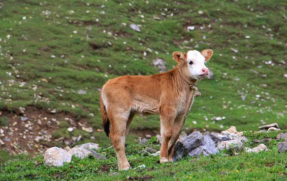 微信截圖_20220331163913 微信截圖_20220331163913