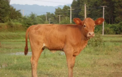 b0858016dbbbaff567dd5d32b0fdd3e b0858016dbbbaff567dd5d32b0fdd3e