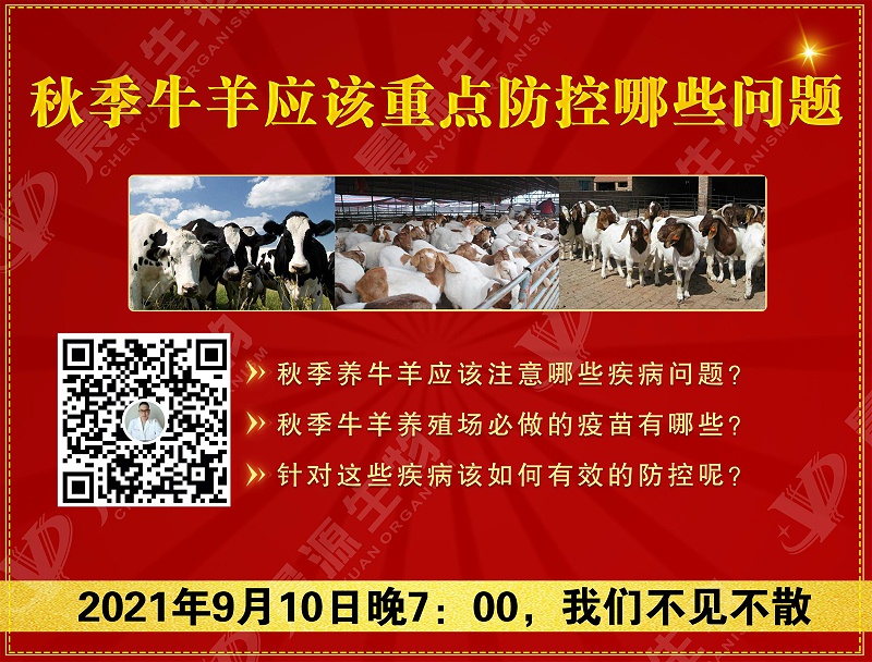 秋季牛羊應該重點防控哪些問題