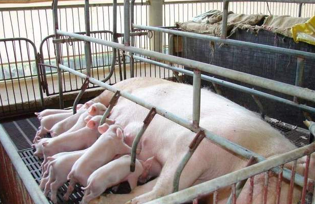 491fd6105b3b13efe0869ac7193c1f2 491fd6105b3b13efe0869ac7193c1f2