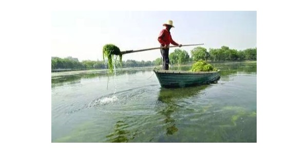 19f09fcb320b4aa094ecdc2ac7676ab1 19f09fcb320b4aa094ecdc2ac7676ab1